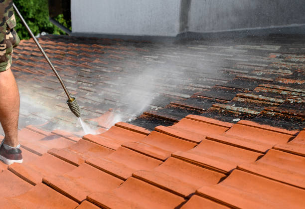 Best Concrete Pressure Washing  in Sturgeon, MO